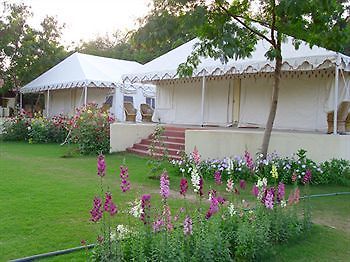 Jungle View Resort Sawai Madhopur Eksteriør billede