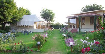 Jungle View Resort Sawai Madhopur Eksteriør billede