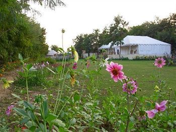 Jungle View Resort Sawai Madhopur Eksteriør billede